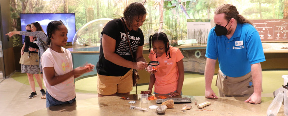 Delaware Museum of Nature and Science